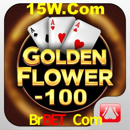 Interface Premium Brbet Com